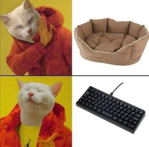 Príspevok 225653