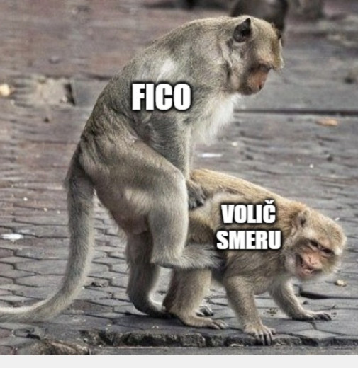 odkaz Ficovoličom...